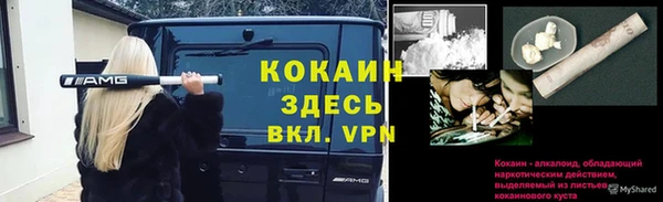 соль ск Магас