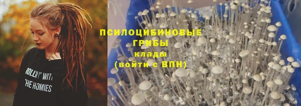твердый Липки