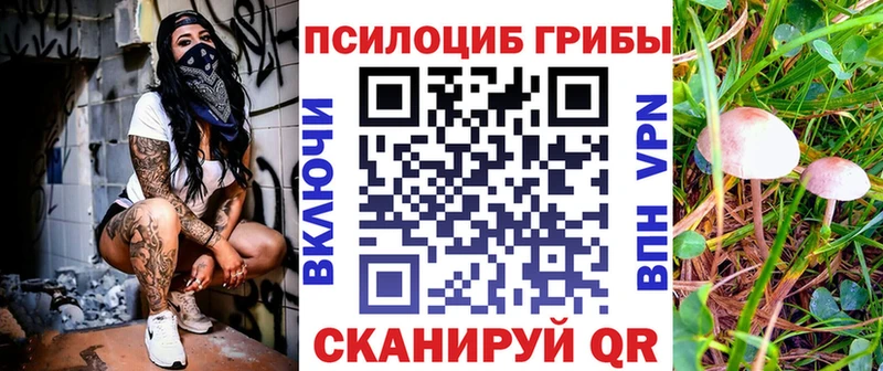 Псилоцибиновые грибы Magic Shrooms  как найти закладки  Мелеуз 