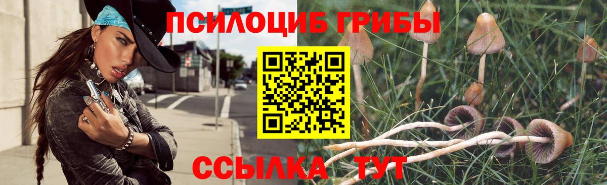 Псилоцибиновые грибы прущие грибы Мелеуз