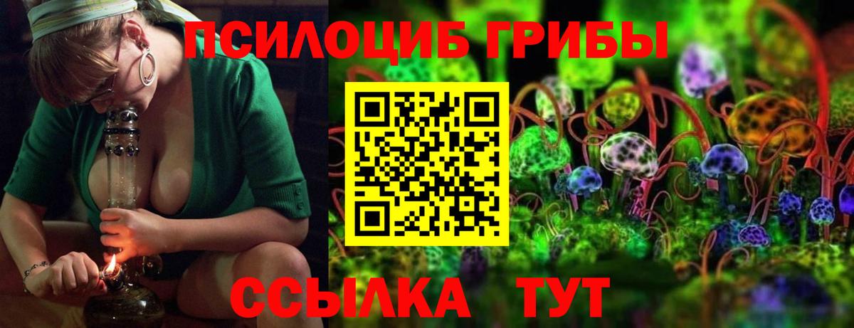 Мелеуз  Псилоцибиновые грибы мицелий  Вход с VPN  Псилоцибиновые грибы GOLDEN TEACHER 